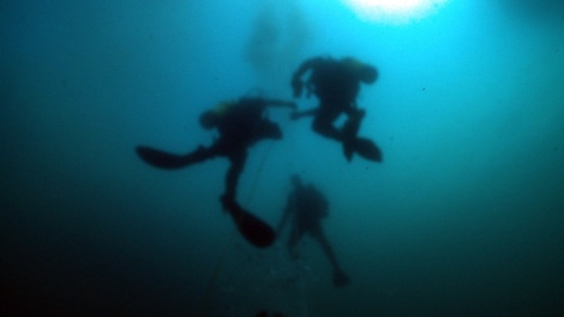 Divers ascend after a dive.