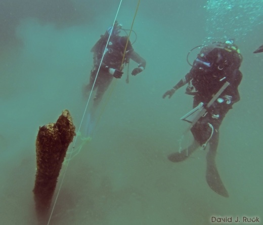 French Divers explore the stie